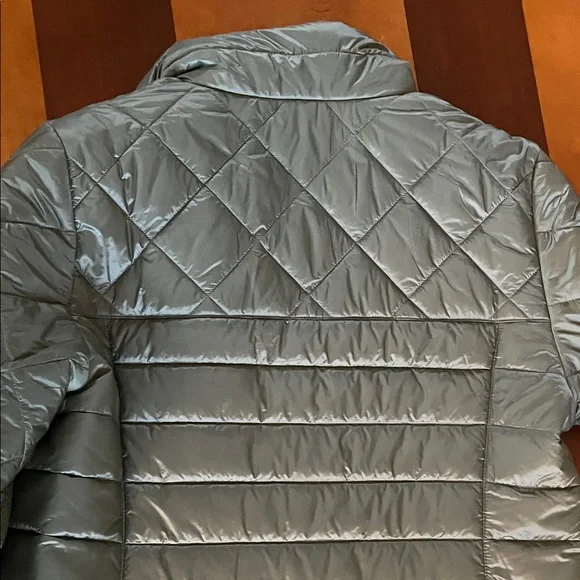 Patagonia Quilted Jacket in Sage NWOT - Picture 5 of 6